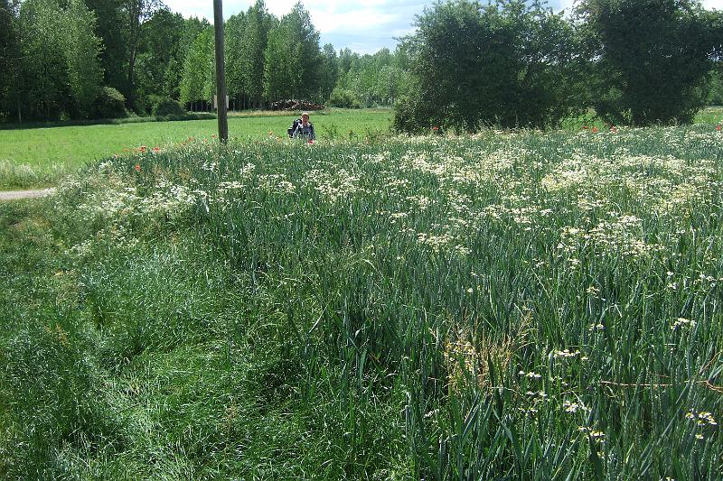2011-05- (569).JPG - "Wo bleibst du denn?"